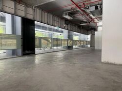 The M (D7), Retail #524137951